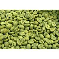 Natural Green Coffee Bean Extract with Competitive Price on Sell