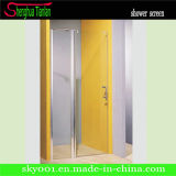 Simple Rectangle Tempered Glass Shower Screen (TL-420)
