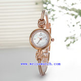 Hot Selling Custom Quartz Vogue Casual Wrist Watches (WY-010C)