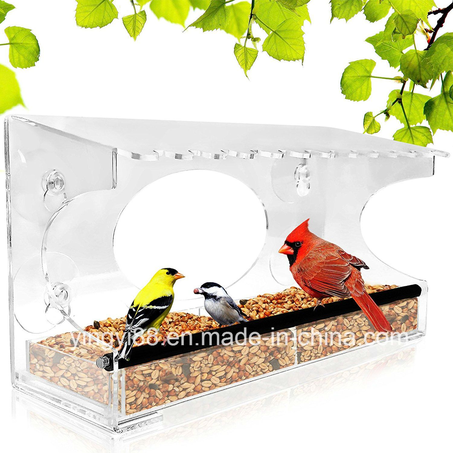 New Acrylic Window Bird Feeder