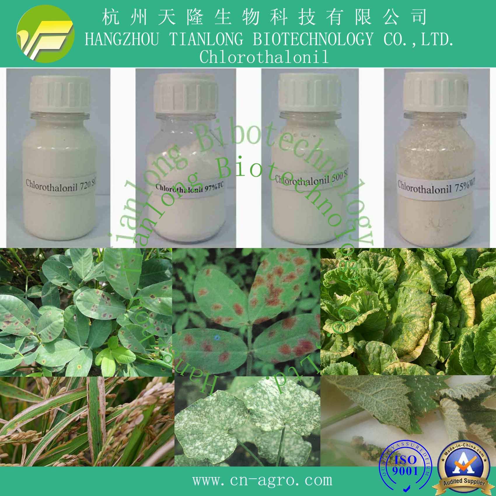 Highly Effective Fungicide Chlorothalonil (97%TC, 50%SC, 720SC, 75%WP, 75%WDG)