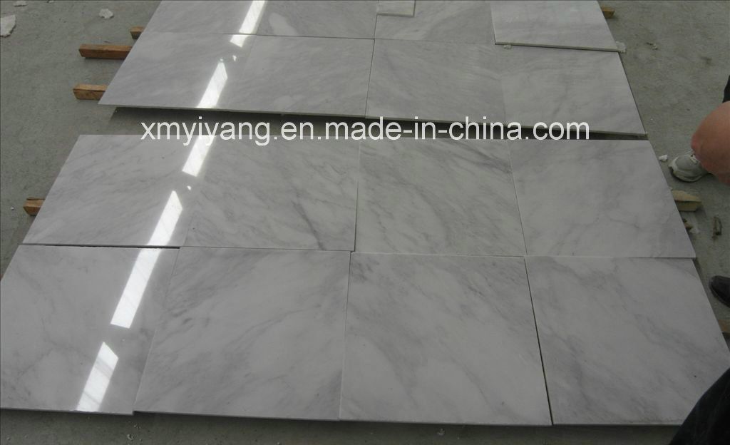 Polished China Carrara White Marble Tile for Floor Wall (YY-VCWT)