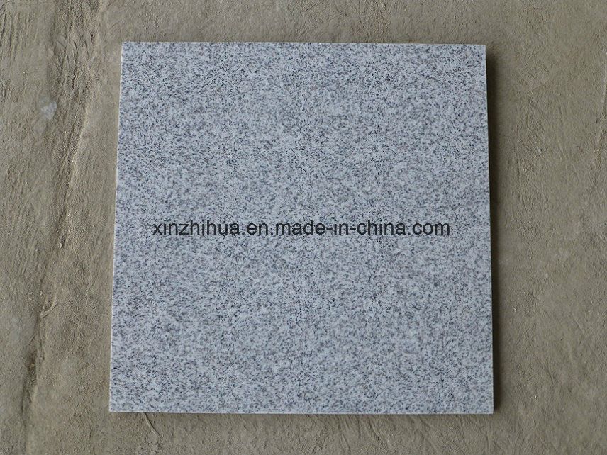 China Classic Light Grey/Pepper and Salt/Impala Grey/G603 Granite Polished/Flamed Slab for /Floor Tile/Counter Top/Work Top/Kitchen Top/Vanity Top