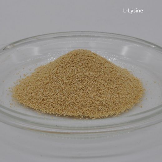 Feed Additives L Lysine L-Lysine Feed Grade Manufacturer Factory Supplier