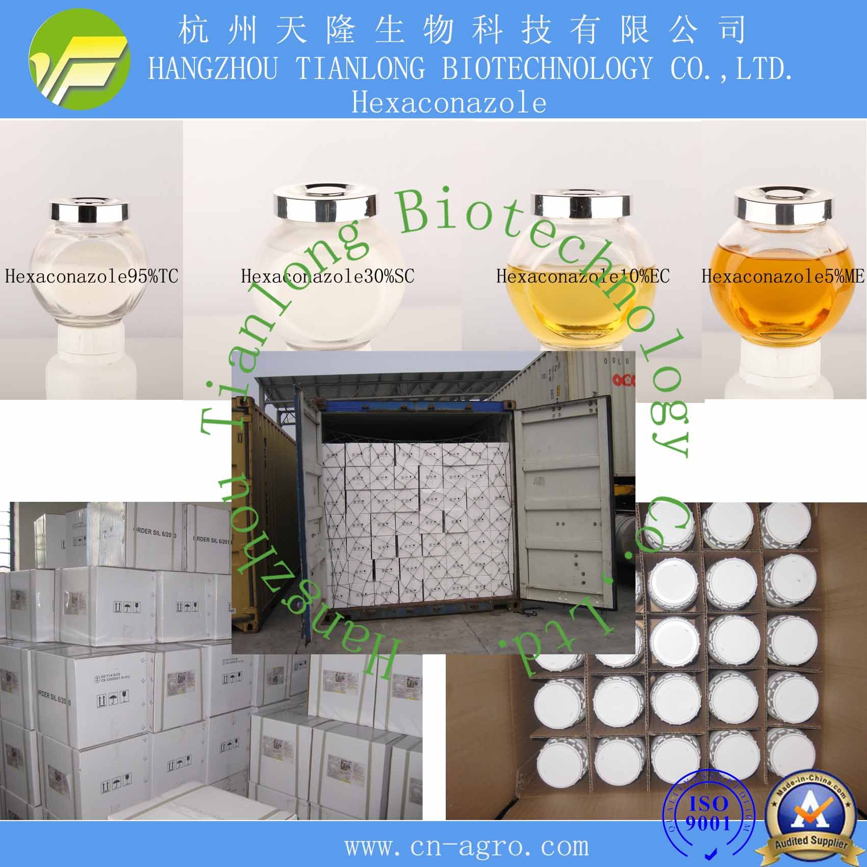 Highly Effective Fungicide Hexaconazole (95%TC, 5%SC, 30%SC, 5%EC, 10%EC, 5%WP)