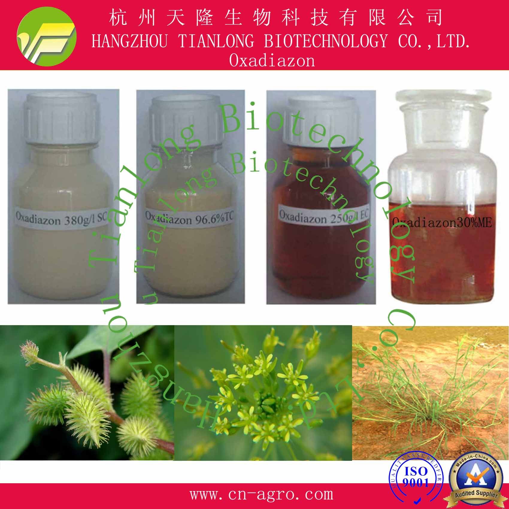 Price Preferential Herbicide Oxadiazon (98%TC, 250EC, 380g/LSC, 35%SC, 30%ME)