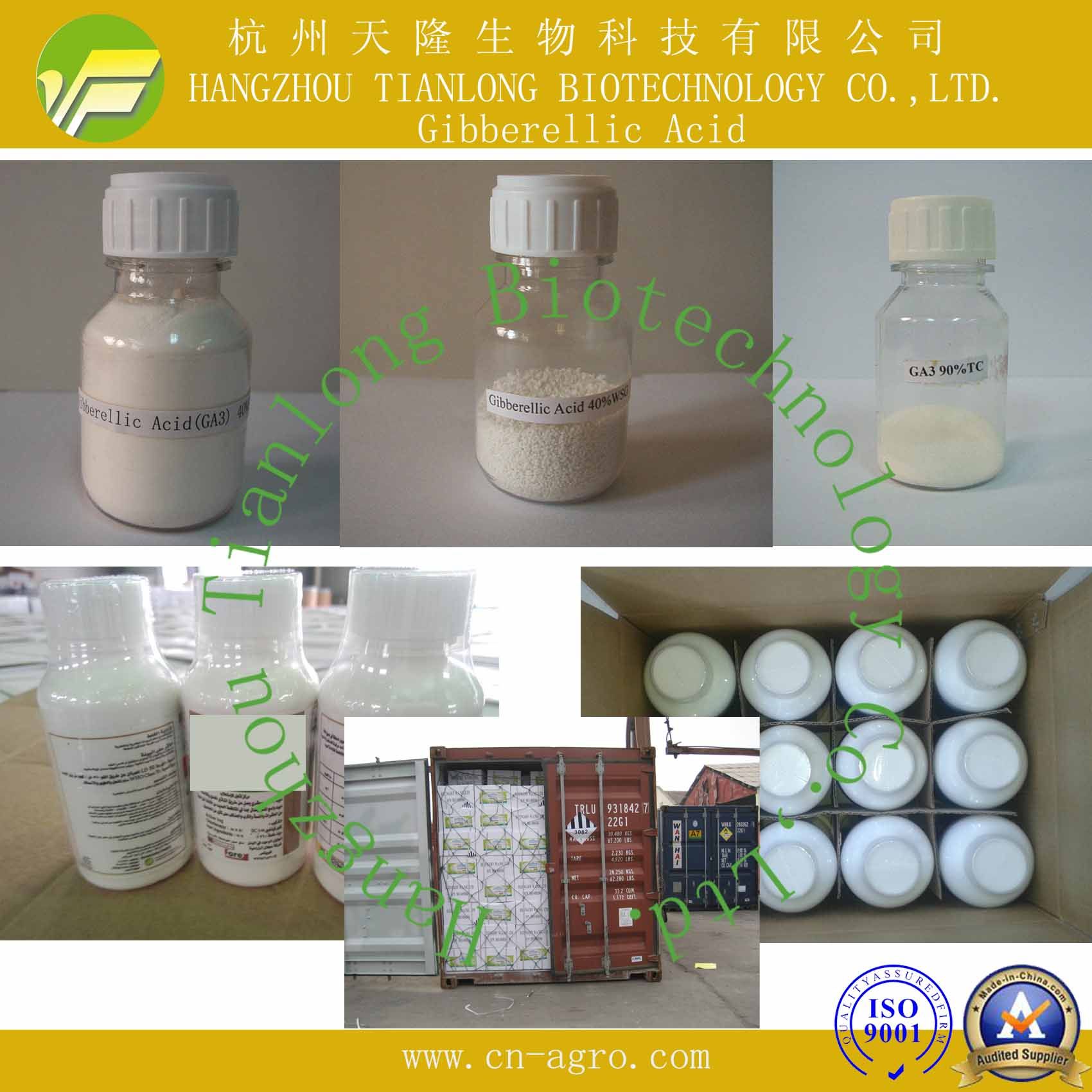 Good Quality Plant Growth Regulator Gibberellic Acid (90%TC)