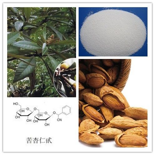 Anti Cancer Natural Bitter Apricot Extract Powder Amygdalin 98%