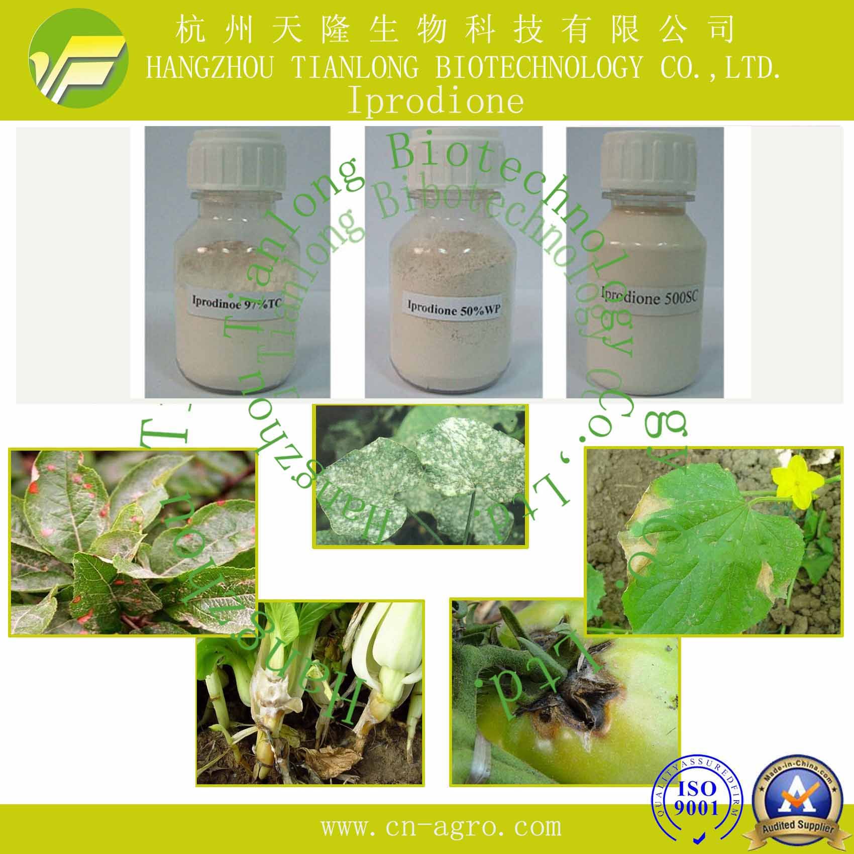 Highly Effective Fungicide Iprodione (97%TC, 50% WP, 250SC, 50%SC)