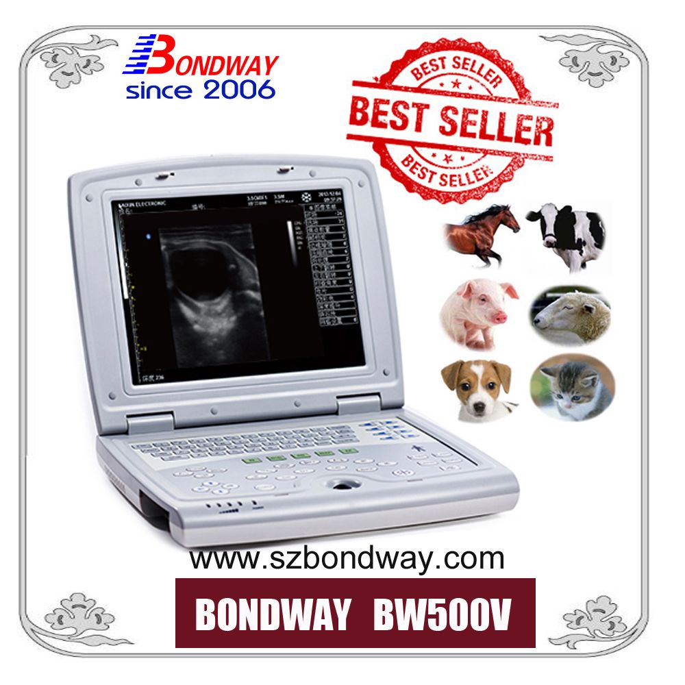 Ultrasound Machine, Portable Ultrasound for Veterinary Use, Toshiba Ultrasound, Ultrasound Medical Equipment, Veterinary Instruments, Laptop Ultrasound Scanner