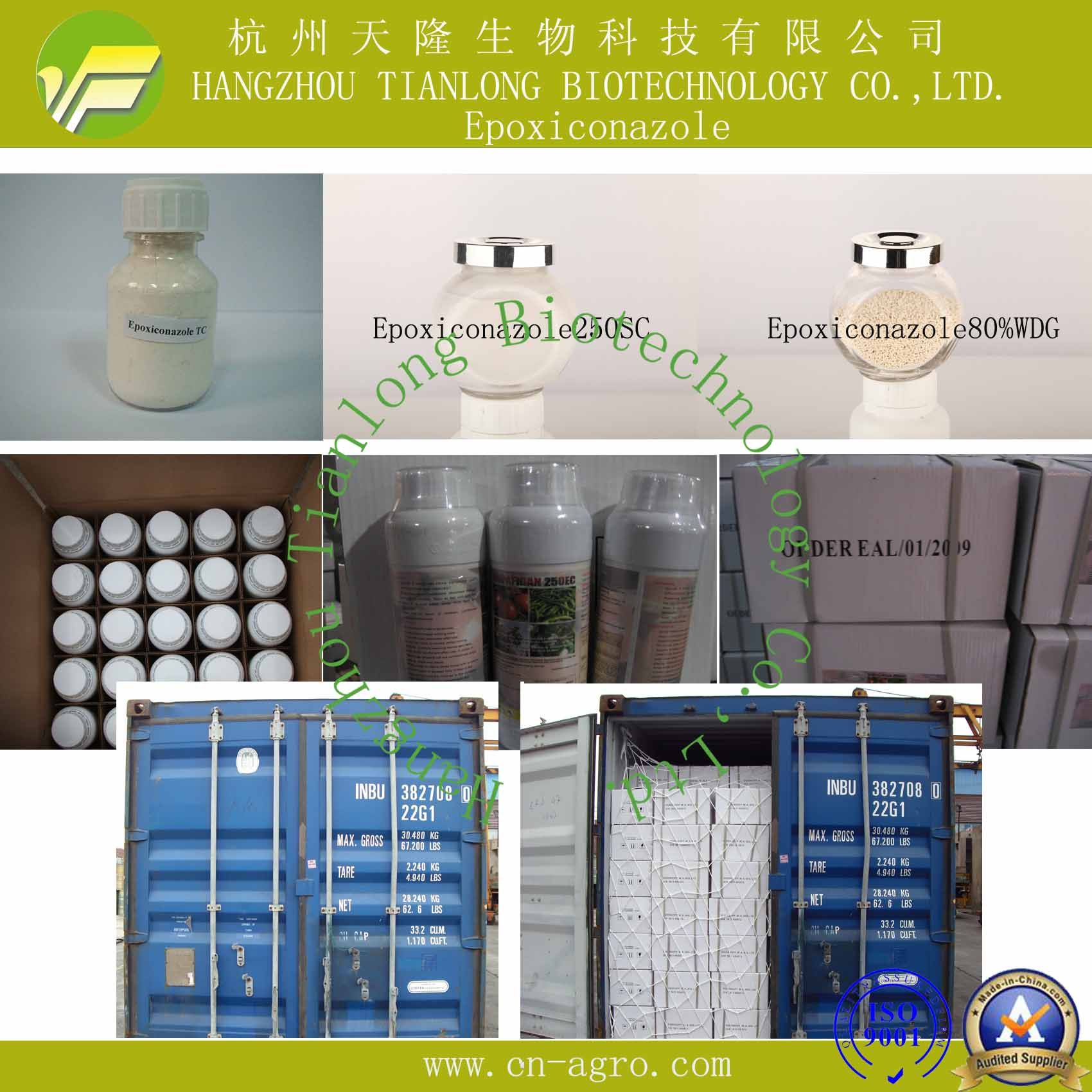 Highly Effective Fungicide Epoxiconazole (95%TC, 12.5%SC, 250SC, 80%WDG)