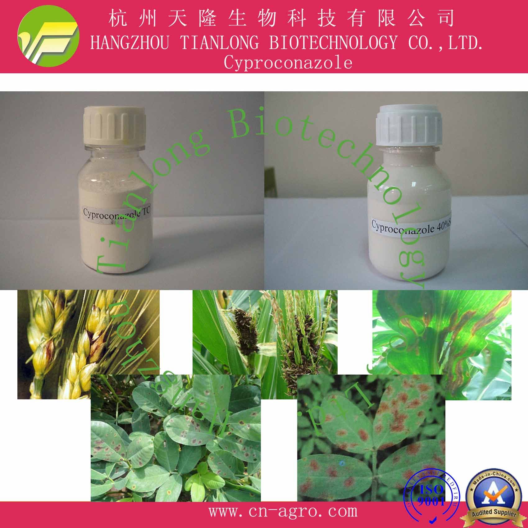 Highly Effective Fungicide Cyproconazole (95%TC, 40%SC)