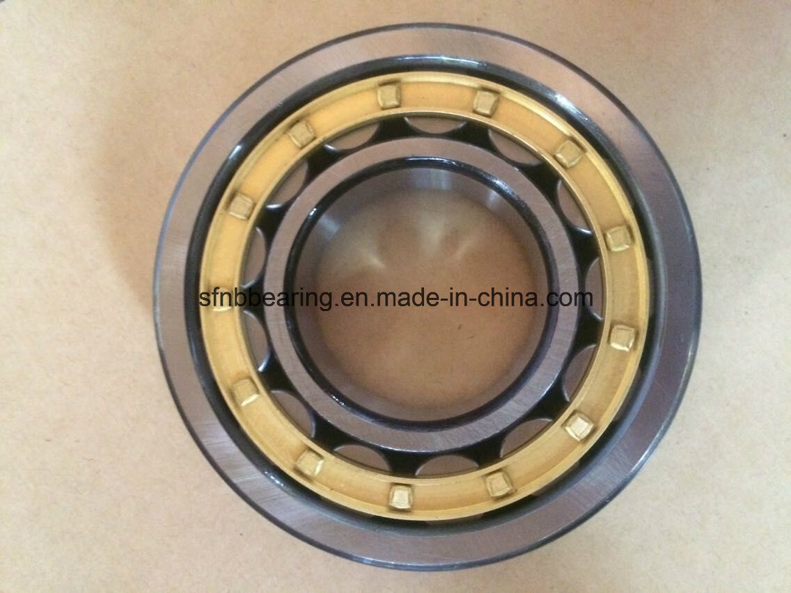 China Bearing Supplier Heavy Duty Cylindrical Roller Bearing Nn3019