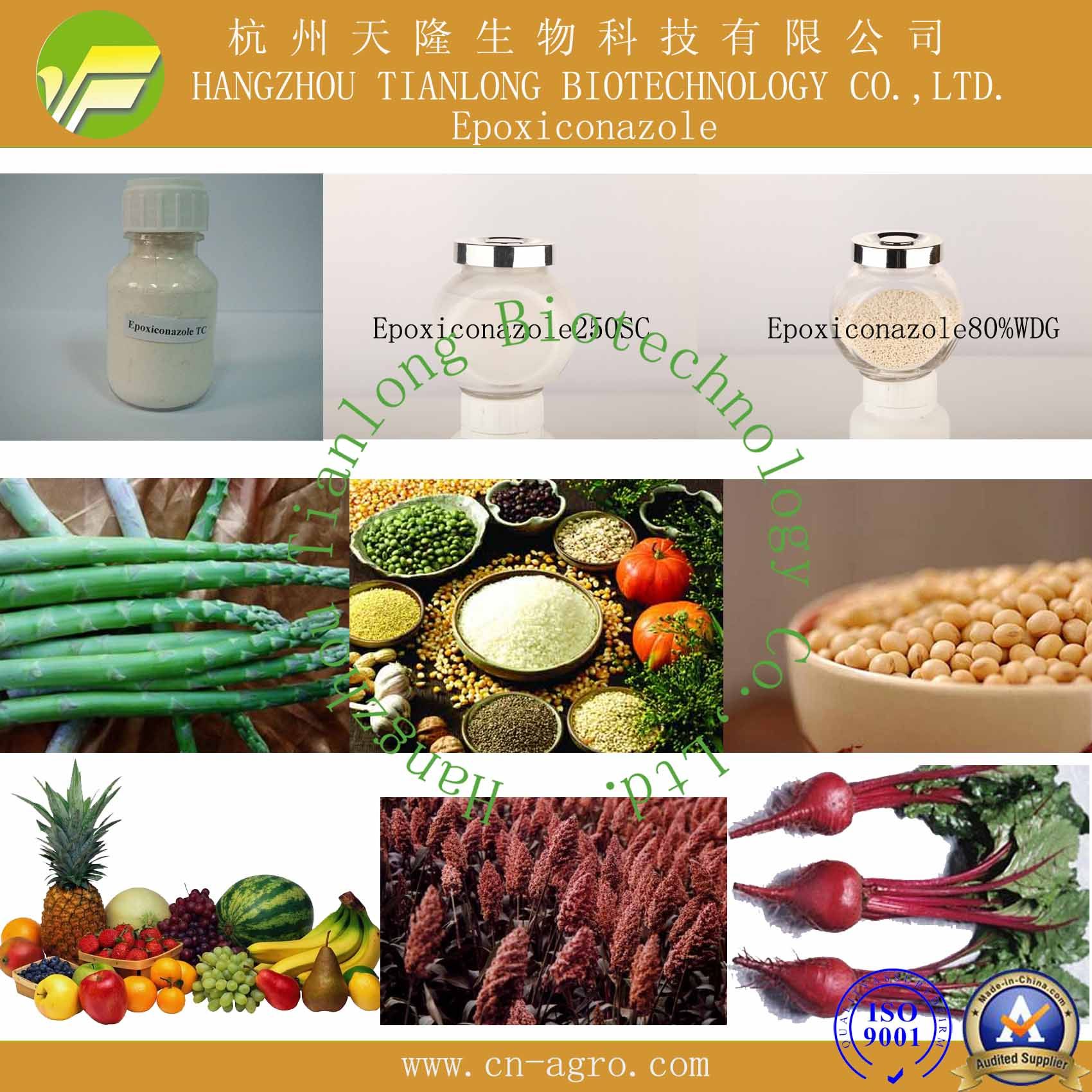 Good Quality Fungicide Epoxiconazole (95%TC, 12.5%SC, 250SC, 80%WDG)