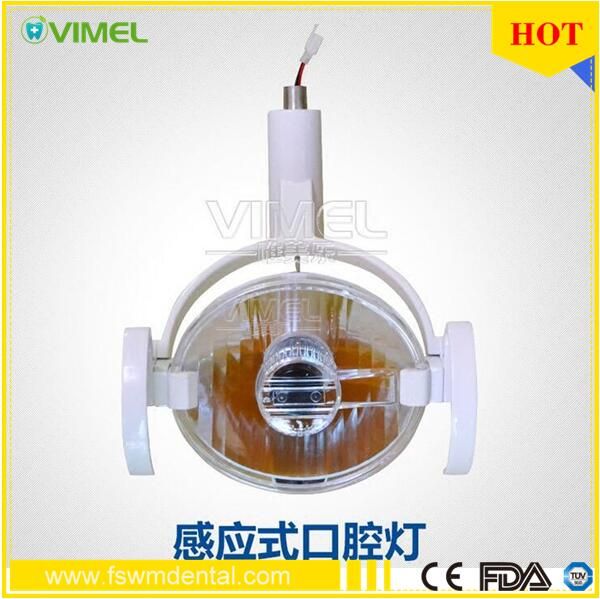 Induction Oral Cold Light Lamp Dental LED Shadowless Operating Lamp