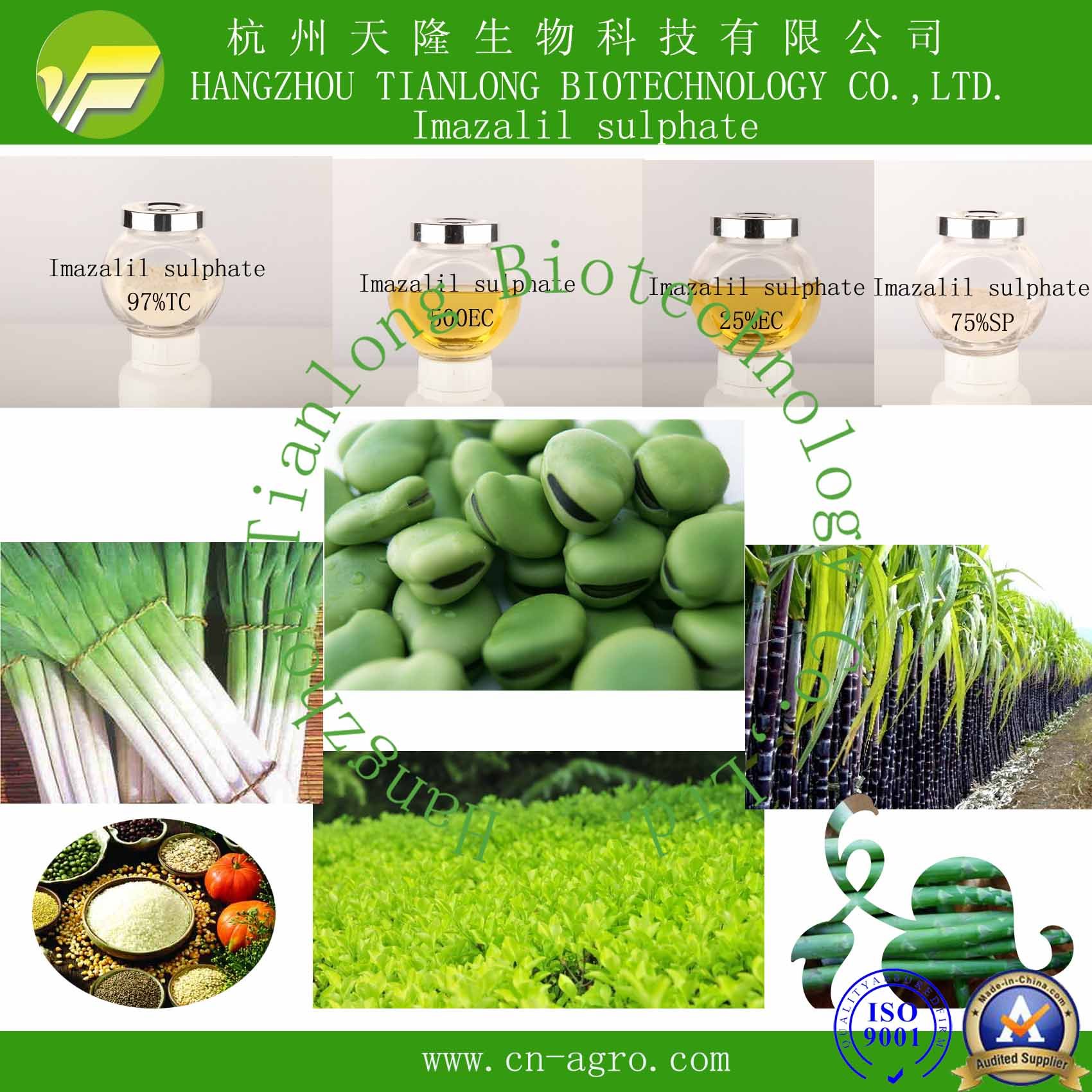 Good Quality Fungicide Imazalil (97%TC, 75%SP, 500EC, 25%EC)