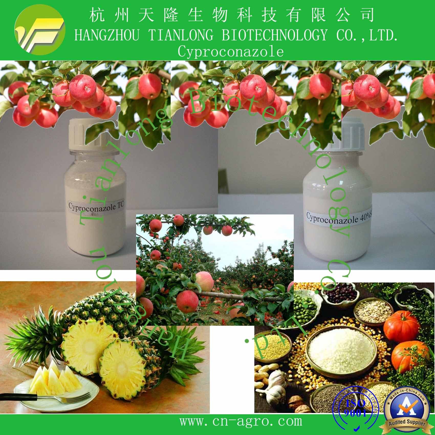 Price Preferential Fungicide Cyproconazole (95%TC, 40%SC)