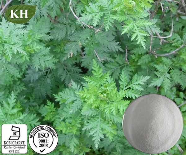 Artemisia Annua Extract Powder Artemisinin 99%