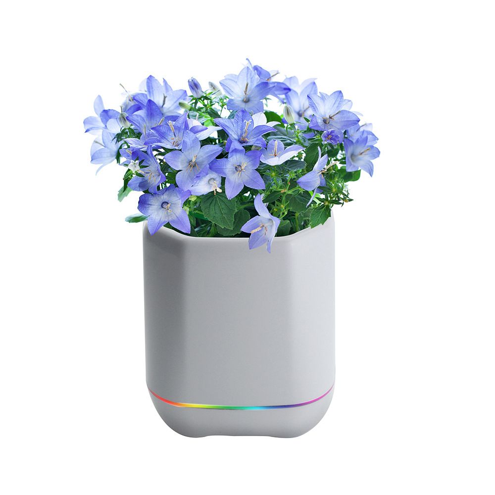 Creative Toy Air Freshener Bluetooth Speaker with Plant Aroma Crystal and Negative Ions