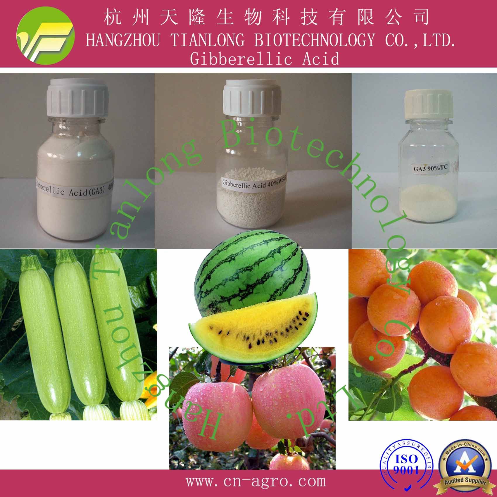 Price Preferential Plant Growth Regulator Gibberellic Acid (90%TC)