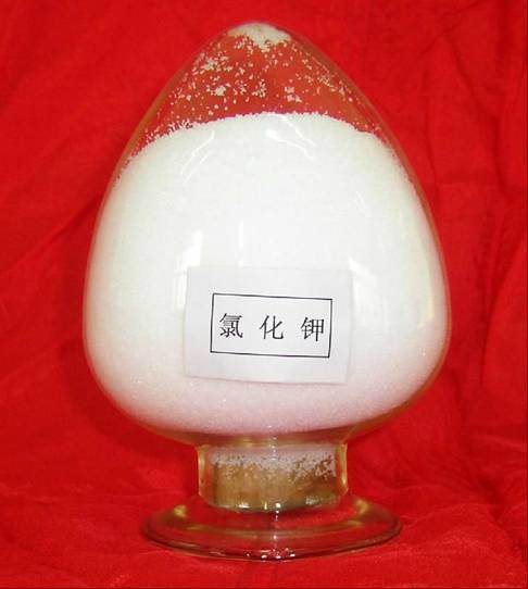 Potassium Chloride/White Crystal Granules Muriate of Potash