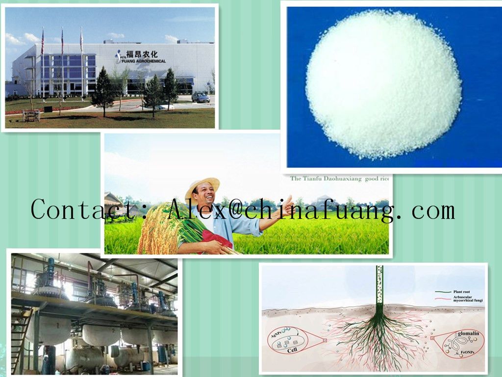 Bactericide Fungicide Germicide Agrochemicals Fungicide 60% Validamycin