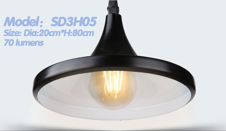 Solar Industrial Pendant Light