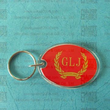 Plastic Ellipse Key Chain with Custom Logo