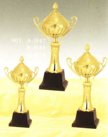 Sports Trophy