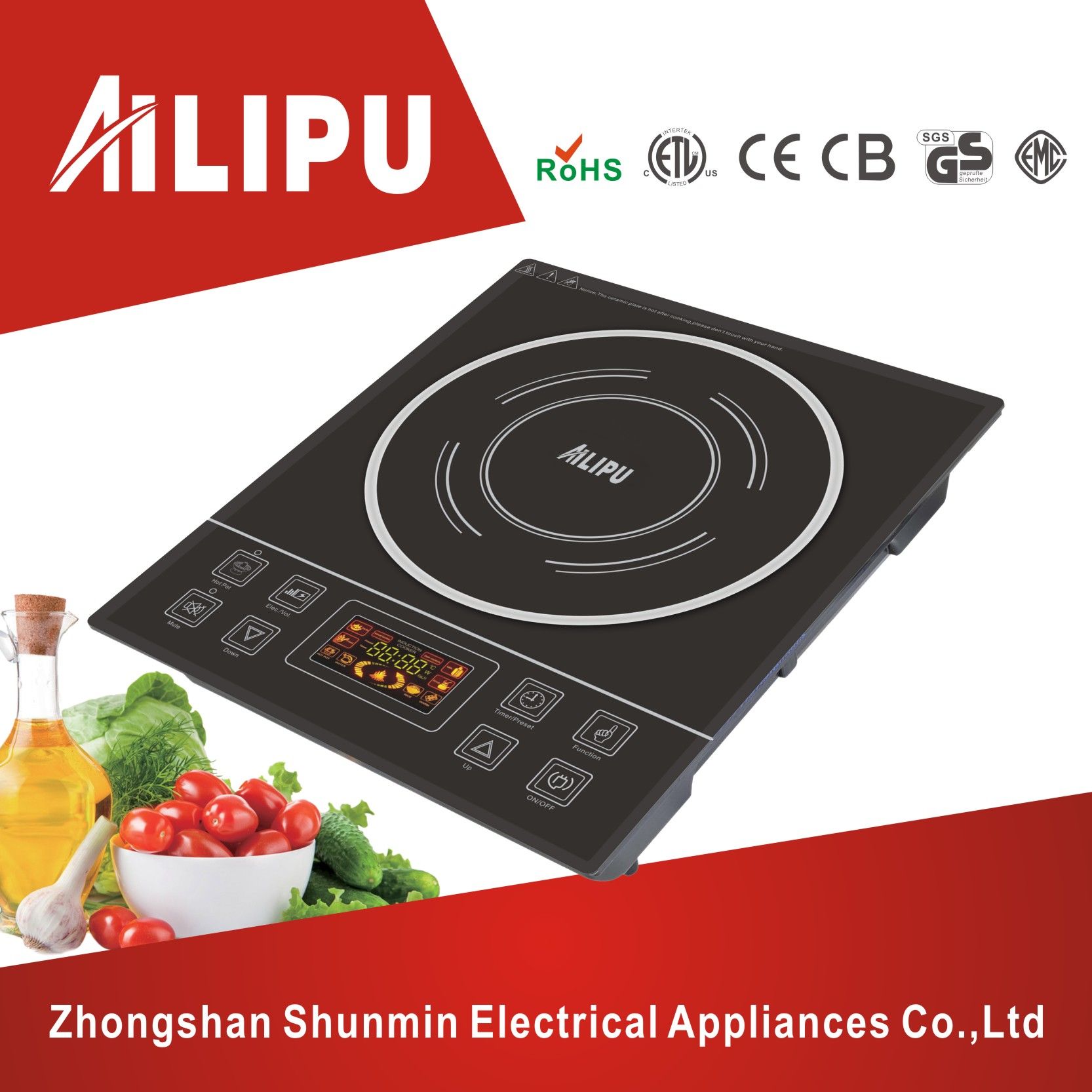 Low Energy Speak Function Electric Induction Cooker Schott Crean Plate