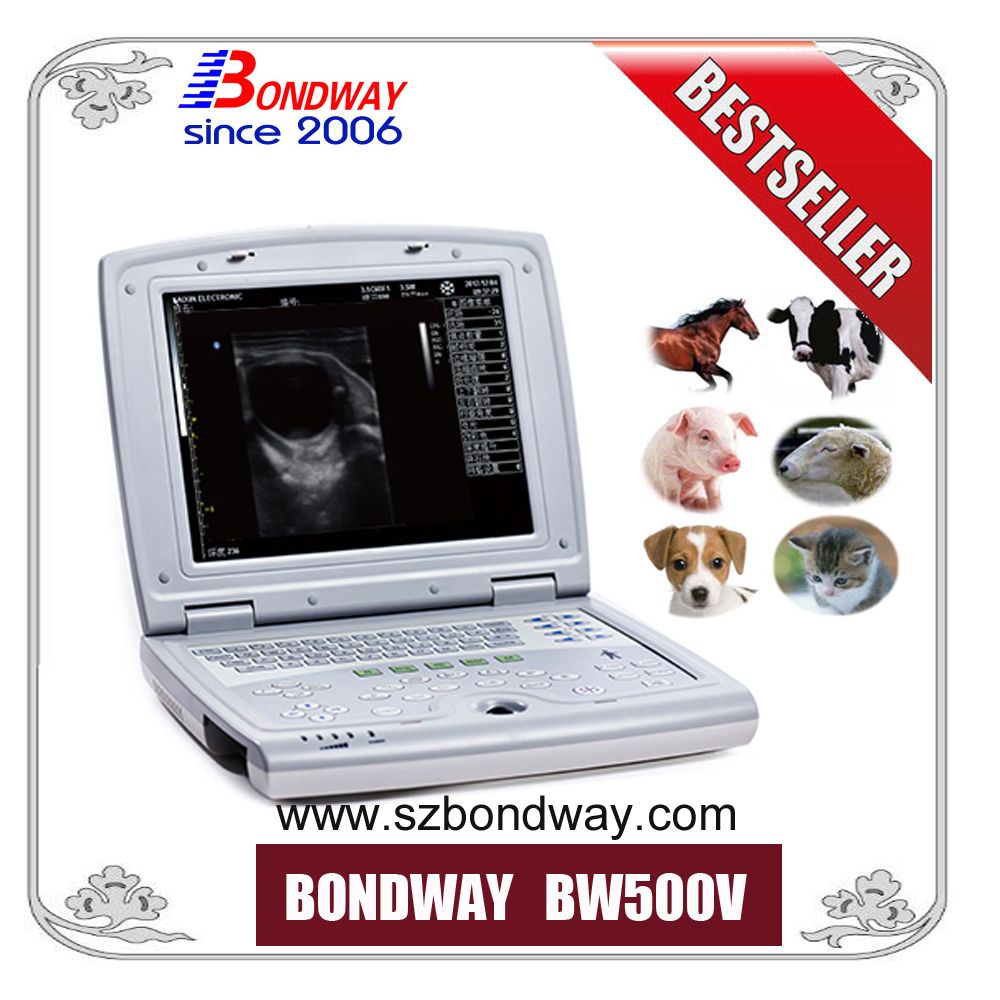 Veterinary Diagnostic Kit 4D Doppler Ultrasound Scanner