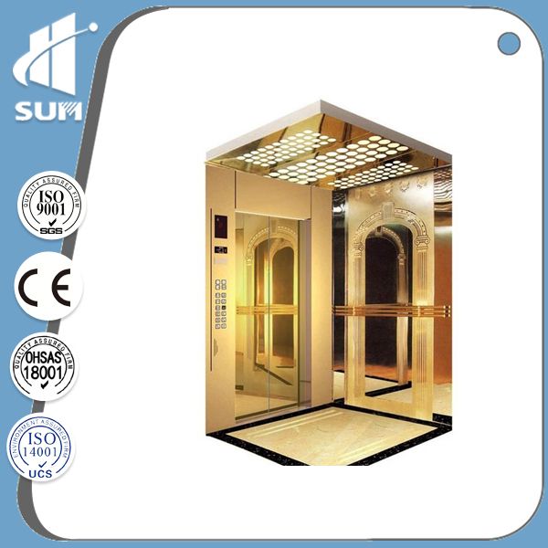 Hydraulic Hairline Stainless Steel Cabin Passenger Elevator