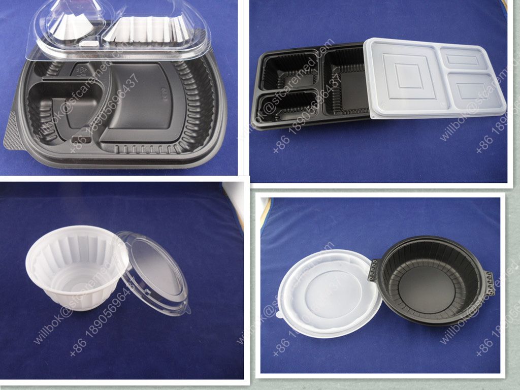 PP Pet Clear Disposable Clamshell Blister Fruit Food Package Tray