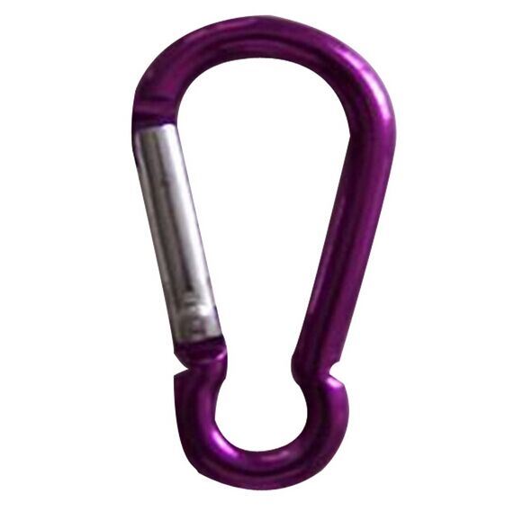 Fashion Colorful D Shape Aluminium Carabiner