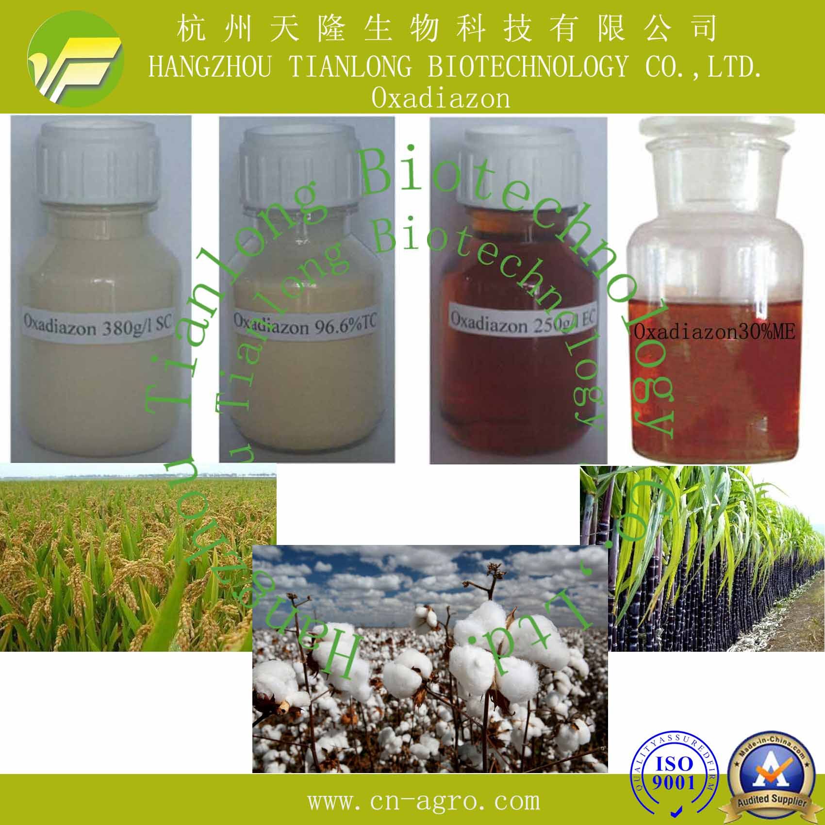 Highly Effective Herbicide Oxadiazon (98%TC, 250EC, 380g/LSC, 35%SC, 30%ME)