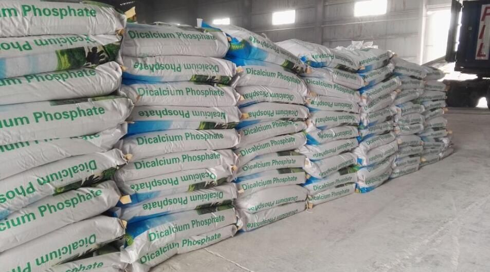 Monocalcium Phosphate 22.3% Feed Additives