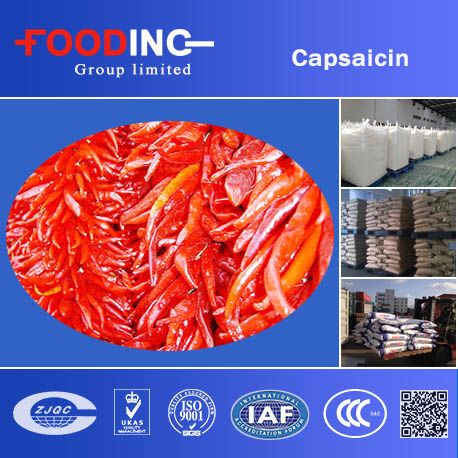 5% 40% Food Grade Capsaicin Powder Products Manufacturer