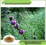 Cyanotis Extract, Powder /Ecdysterone