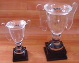 Small Crystal Trophy Clear Handles Black Base