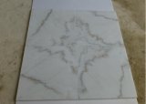 Grade a Quality White Marble with Veins /Guangxi White Marble Tiles/Slabs