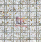 Colorful Natural Shell Mosaic (CFP081)