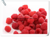 Manufacturer Raspberry / Raspberry Fruit Extract Powder