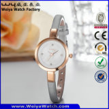 ODM Casual Leather Strap Quartz Ladies Fashion Wrist Watches (Wy-074B)