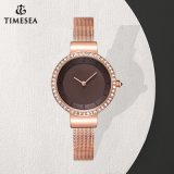 Women Bracelet Quartz Watches Ladies Wrist Watch 71333