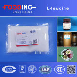 High Quality USP/Bp Food Grade 25kg Drum L Leucine Supplier