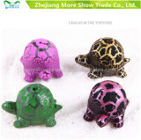 New Magic Growing Pet Tortoise Eggs Hatching Egg Toys