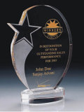 Crystal Glass Trophy Award Shield with Color Print Logo