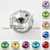 Pointback Crystal Rhinestone with Metal Claw