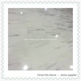 Bianco Calacatta Marble Tile for Wall