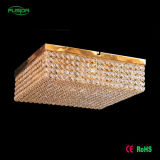 Modern Square LED Ceiling Lamp/Ceiling Lighting